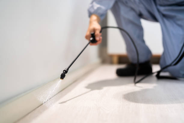 Certified termite inspector examining foundation in Lawton